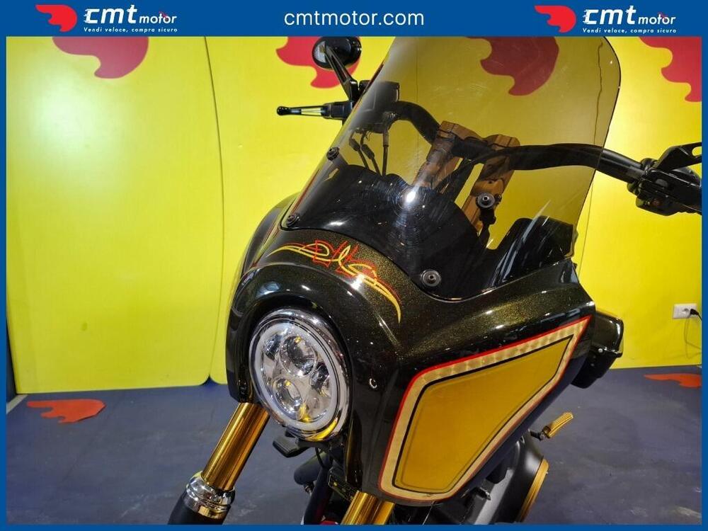 Harley-Davidson 1690 Street Bob Special (2015 - 16) - FXDB (12)