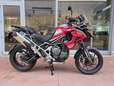 Triumph Tiger 1200 GT Pro (2024 - 25) usata