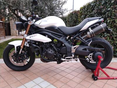 Triumph Speed Triple 1050 ABS (2011 - 15) usata