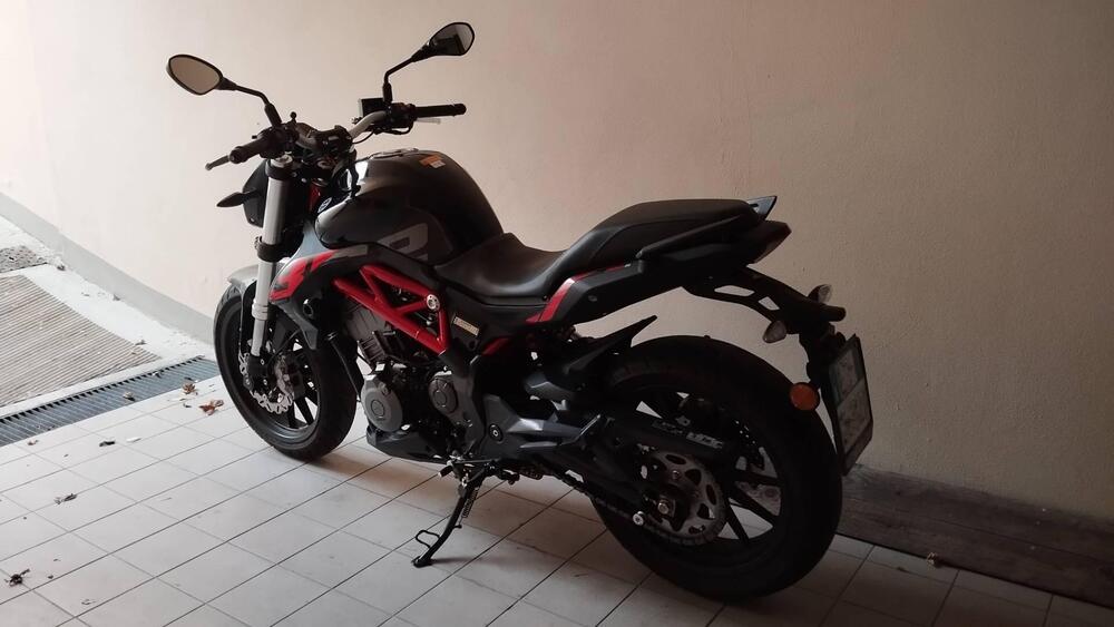 Benelli BN 302 S (2019 - 20) (3)