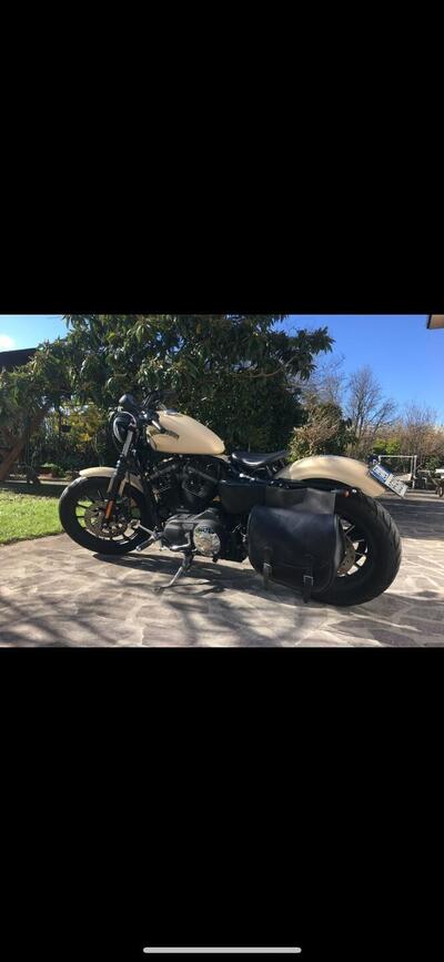 Harley-Davidson 883 Iron (2014 - 16) - XL 883N usata