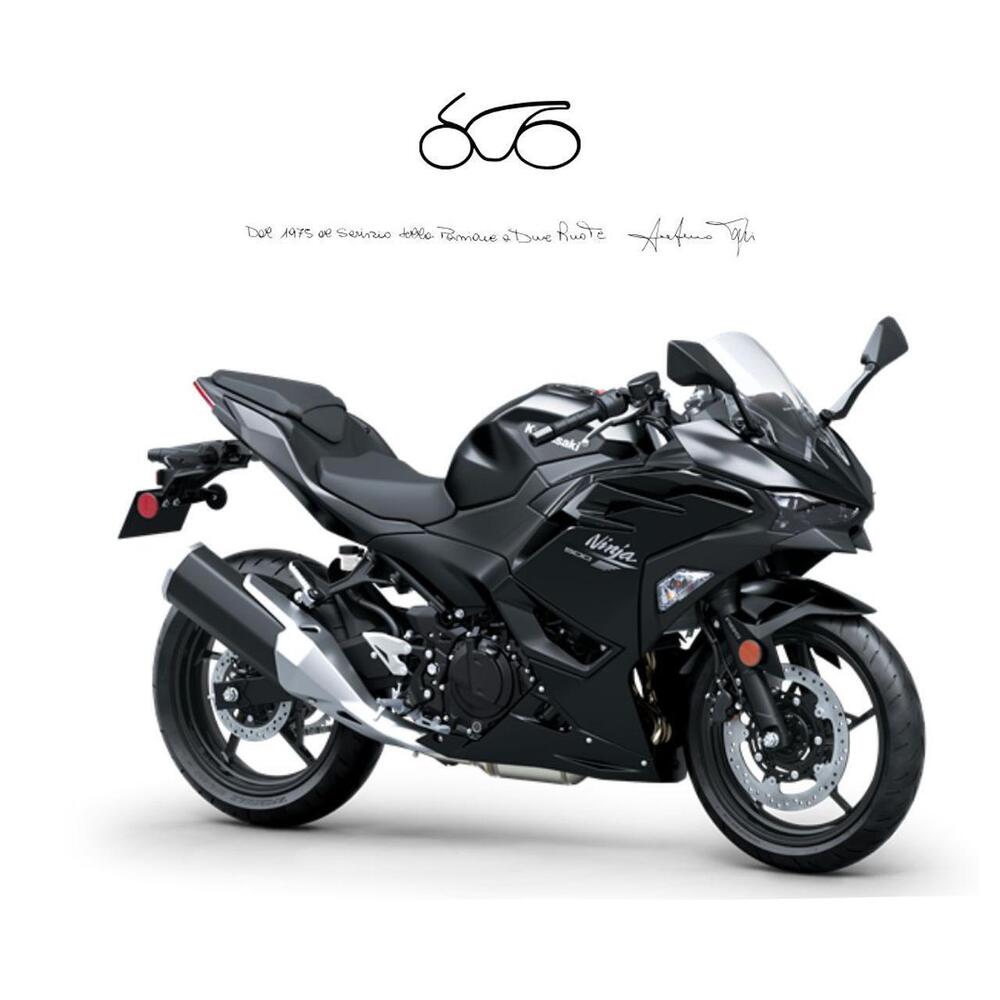 Kawasaki Ninja 500 (2024 - 26)
