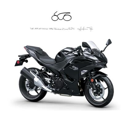 Kawasaki Ninja 500 (2024 - 26) nuova