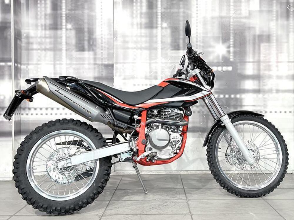 Betamotor Alp 4.0 (2018 - 20) (8)