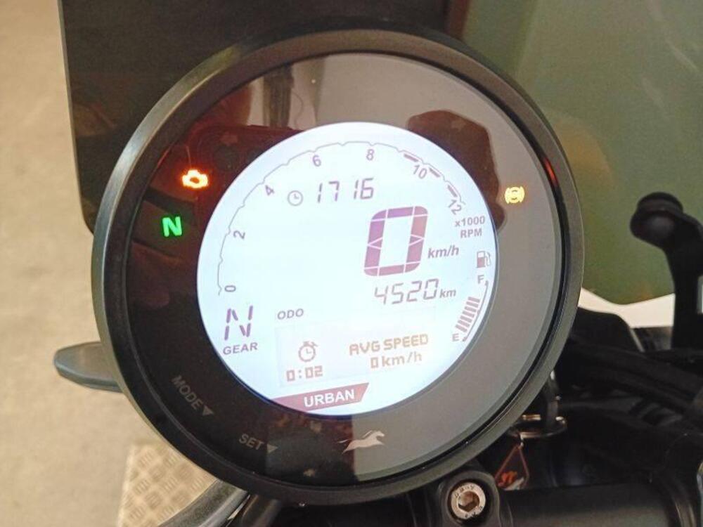 TVS Motor Ronin 250 (2024 - 26) (3)