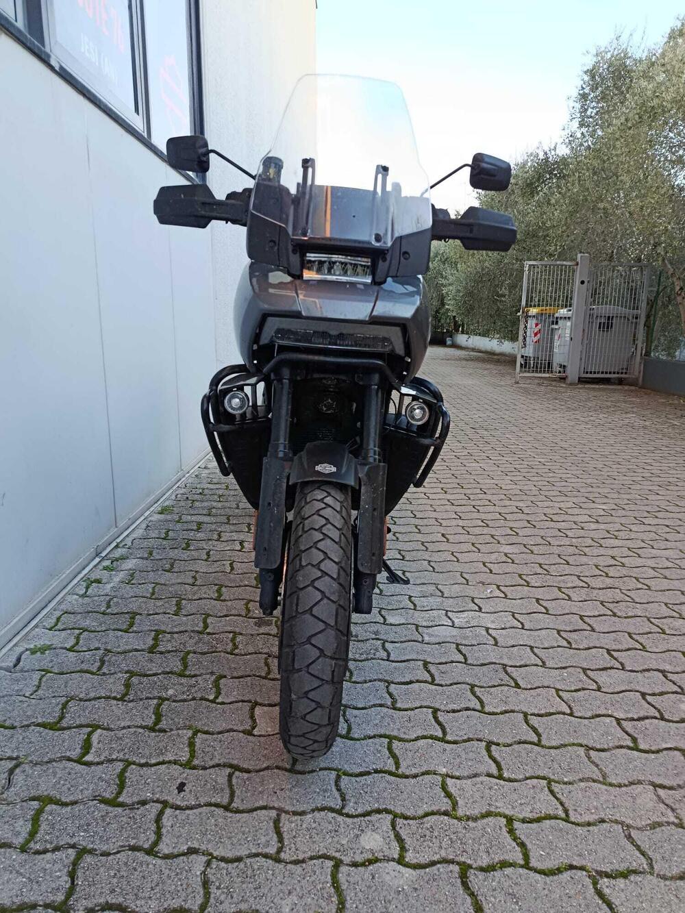 Harley-Davidson Pan America 1250 Special (2020 - 25) (4)