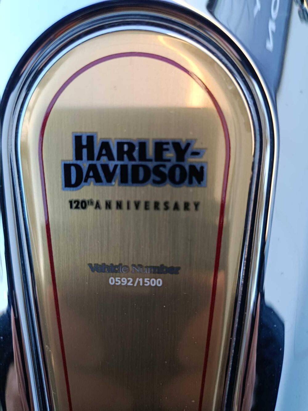 Harley-Davidson CVO Road Glide Limited Anniversary (2023) (15)