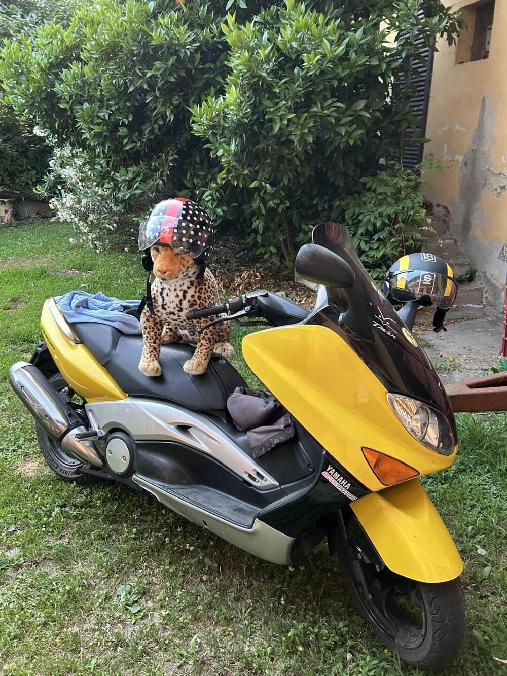 Yamaha T-Max 500 (2001 - 03)