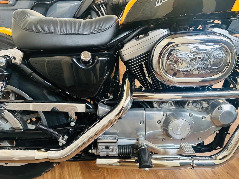 Harley-Davidson 1200 Custom (2001 - 03) - XL 1200C (9)