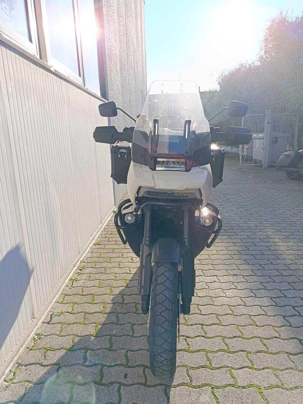 Harley-Davidson Pan America 1250 Special (2020 - 25) (4)