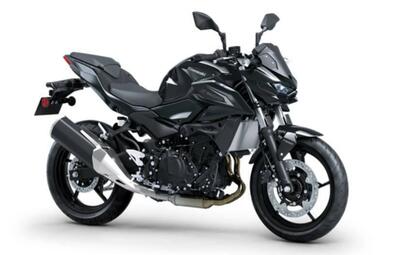Kawasaki Z 500 (2024 - 26) usata