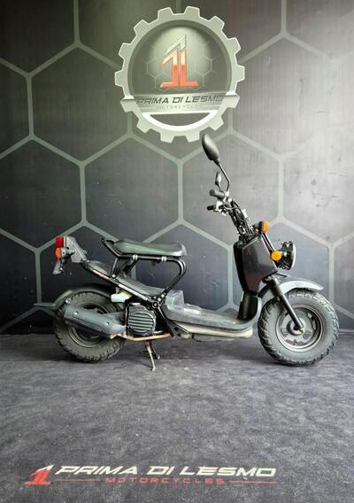 Honda Zoomer usata