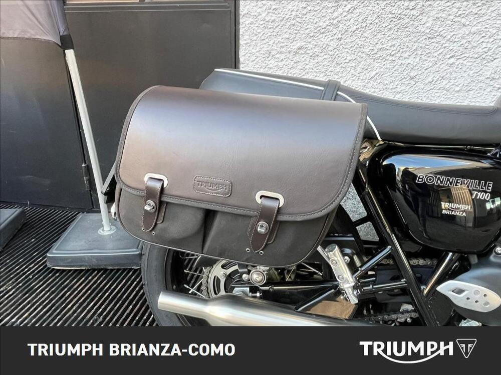Triumph Bonneville T100 (2021 - 25) (5)
