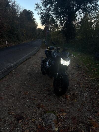 Kawasaki Z 750 (2007 - 14) usata