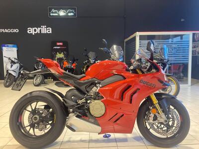 Ducati Panigale V4 S (2022 - 24) usata
