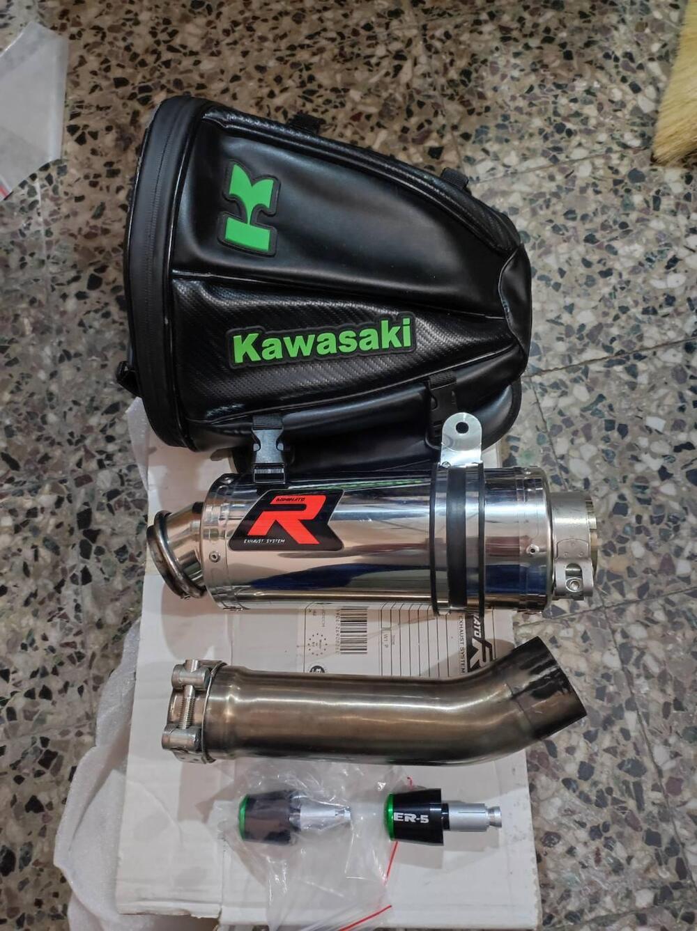 Kawasaki ER-5 500 (2001 - 06) (9)