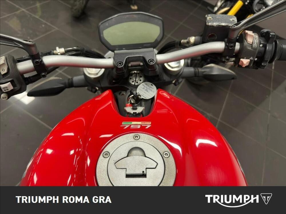 Ducati Monster 797 (2017 - 18) (8)