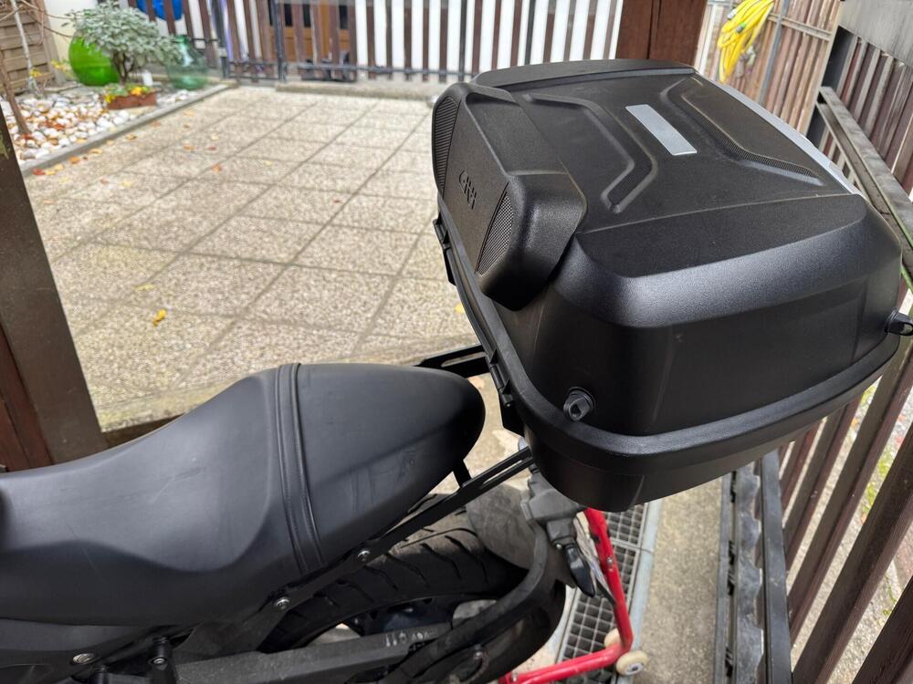 Triumph Trident 660 (2021 - 24) (4)