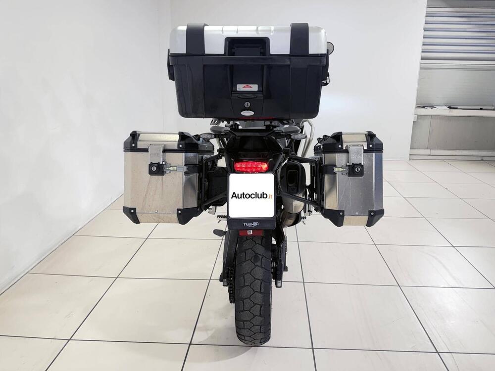 Triumph Tiger 900 Rally Pro (2020 - 23) (7)