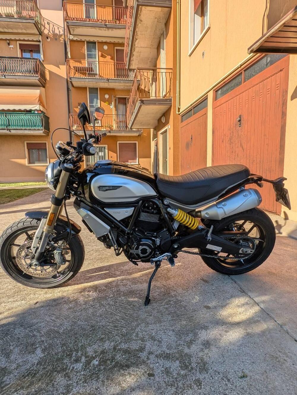Ducati Scrambler 1100 (2018 - 20) (5)