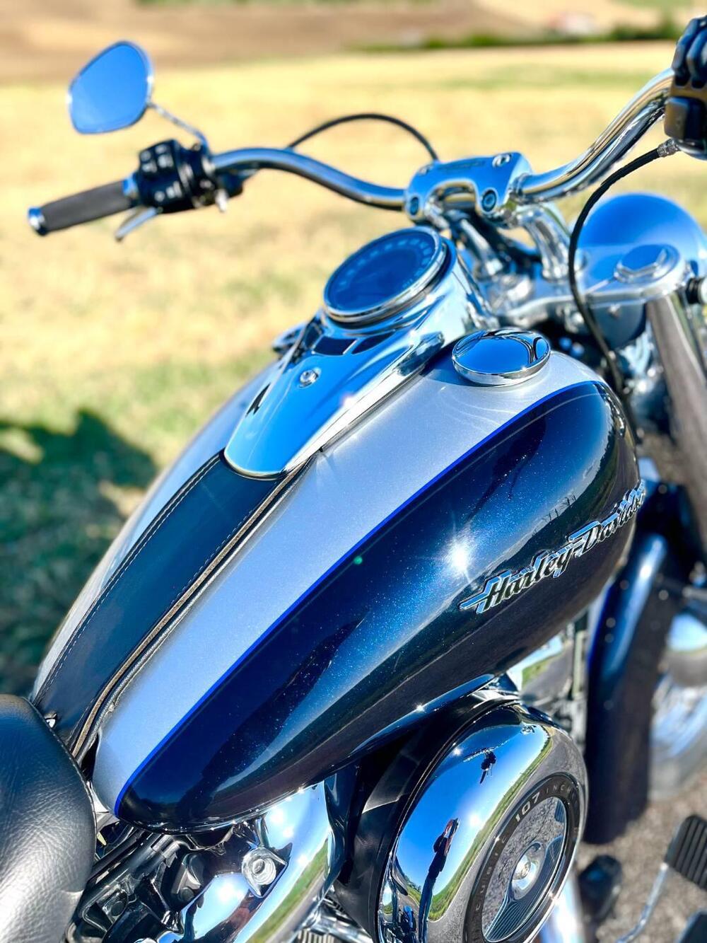Harley-Davidson 107 Deluxe (2018 - 20) - FLDE (3)