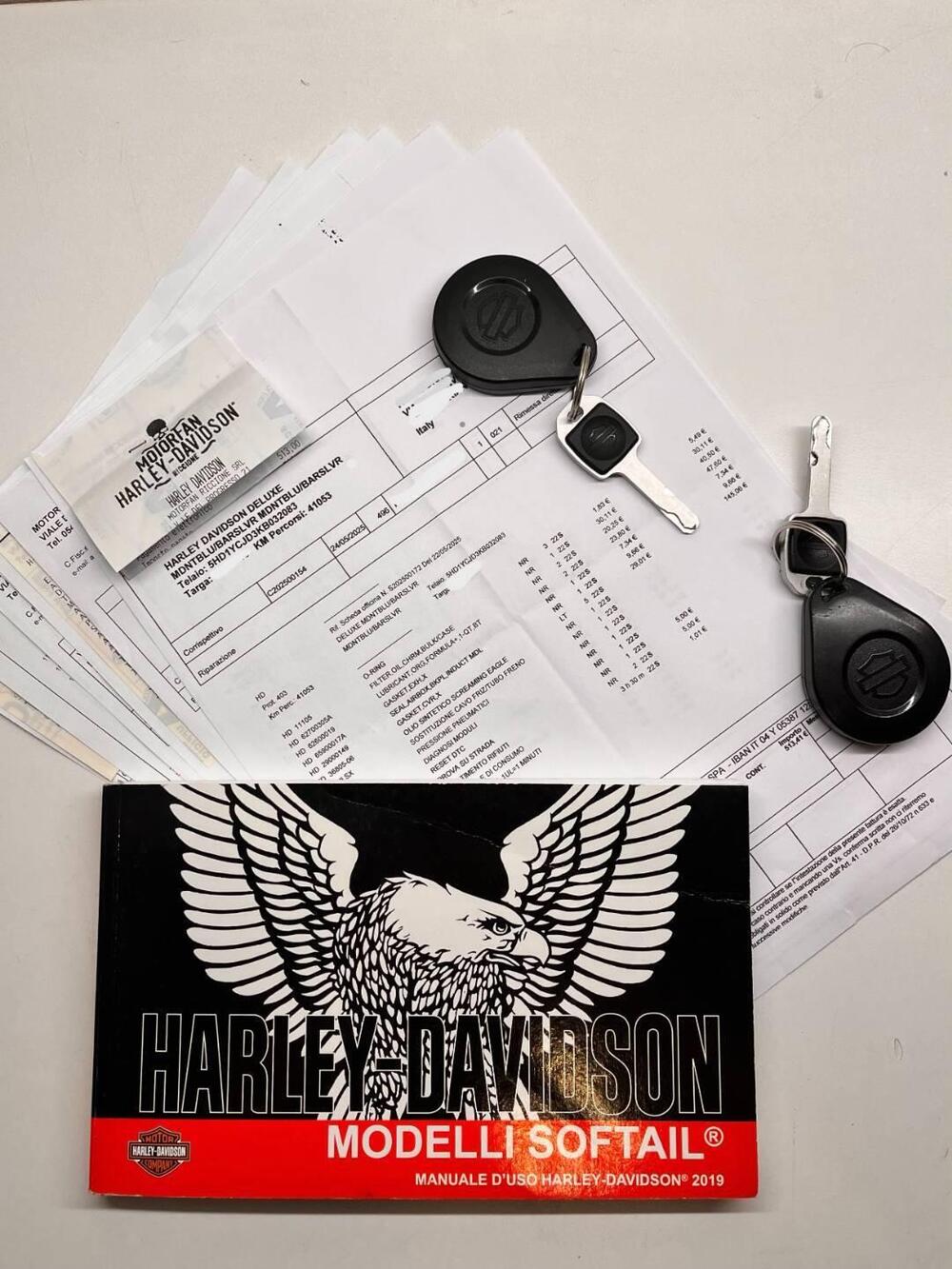 Harley-Davidson 107 Deluxe (2018 - 20) - FLDE (12)