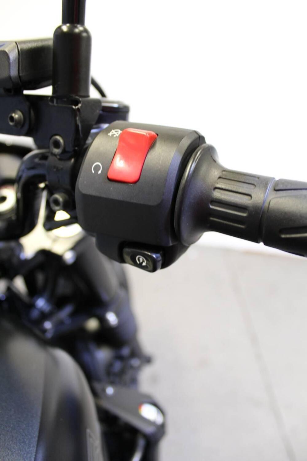 Kawasaki Eliminator 500 SE (2024 - 26) (11)