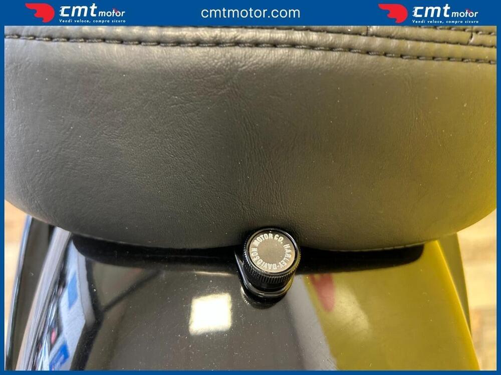 Harley-Davidson Softail Standard (2020) - FXST (9)