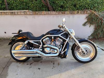 Harley-Davidson 1130 V-ROD (2002 - 05) - VRSCB usata