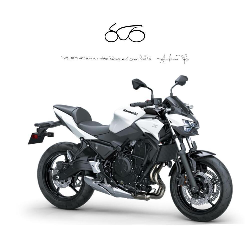 Kawasaki Z 650 (2025 - 26)