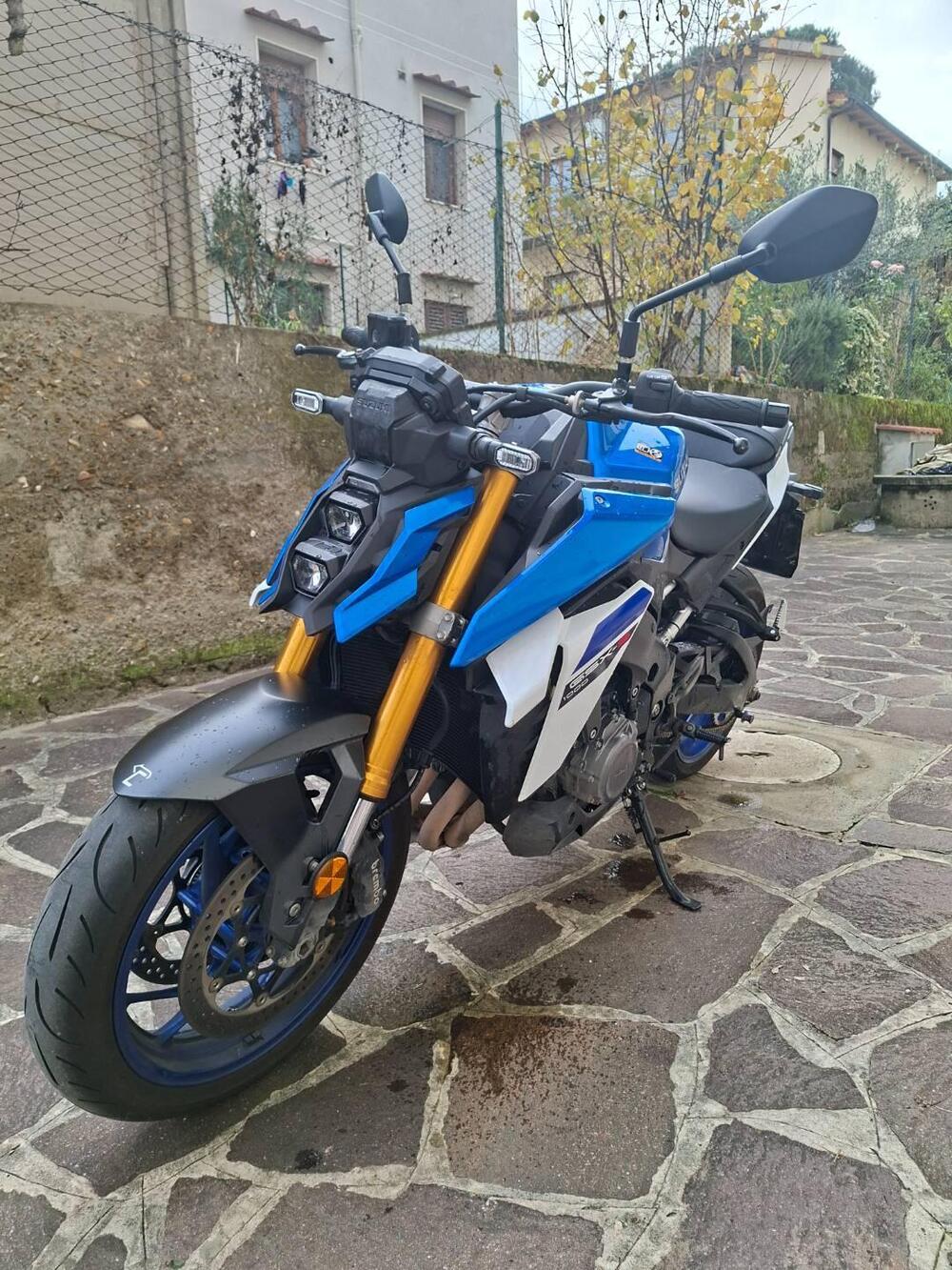Suzuki GSX-S1000 (2021 - 25) (5)