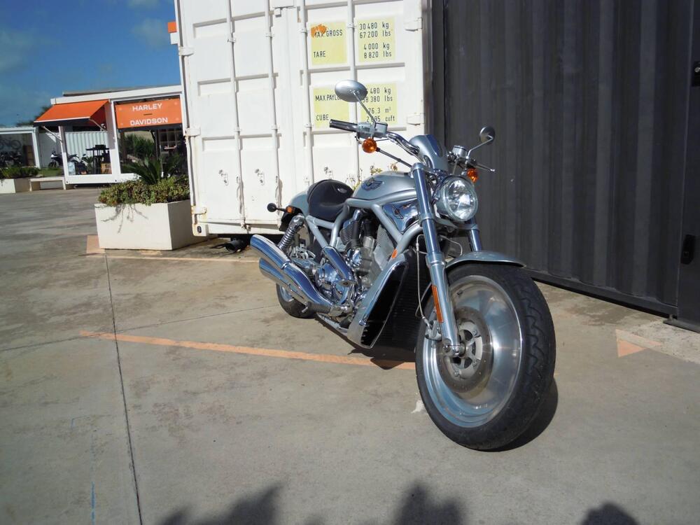 Harley-Davidson 1130 V-Rod (2002 - 05) - VRSCA (4)