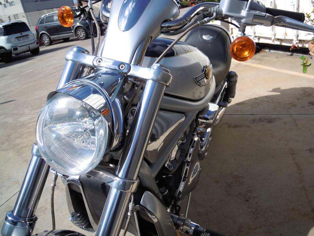 Harley-Davidson 1130 V-Rod (2002 - 05) - VRSCA (6)