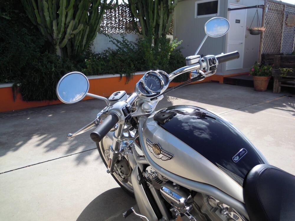 Harley-Davidson 1130 V-Rod (2002 - 05) - VRSCA (7)