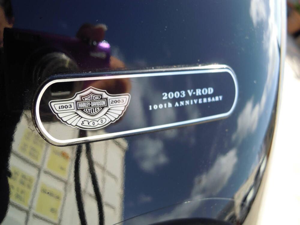 Harley-Davidson 1130 V-Rod (2002 - 05) - VRSCA (8)