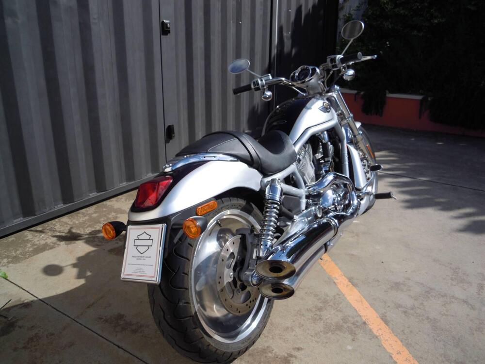 Harley-Davidson 1130 V-Rod (2002 - 05) - VRSCA (11)