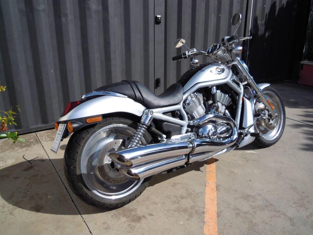 Harley-Davidson 1130 V-Rod (2002 - 05) - VRSCA (12)