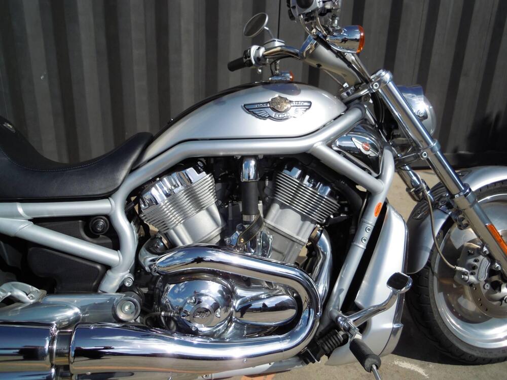 Harley-Davidson 1130 V-Rod (2002 - 05) - VRSCA (13)