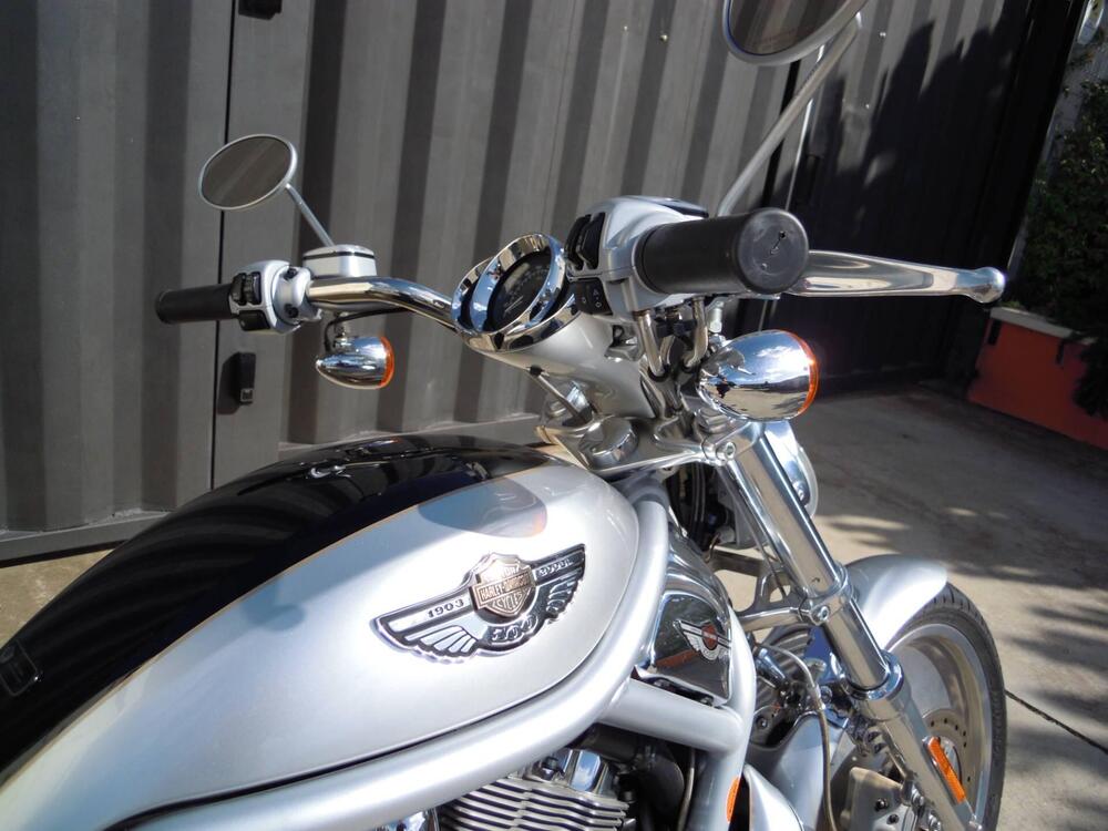 Harley-Davidson 1130 V-Rod (2002 - 05) - VRSCA (14)