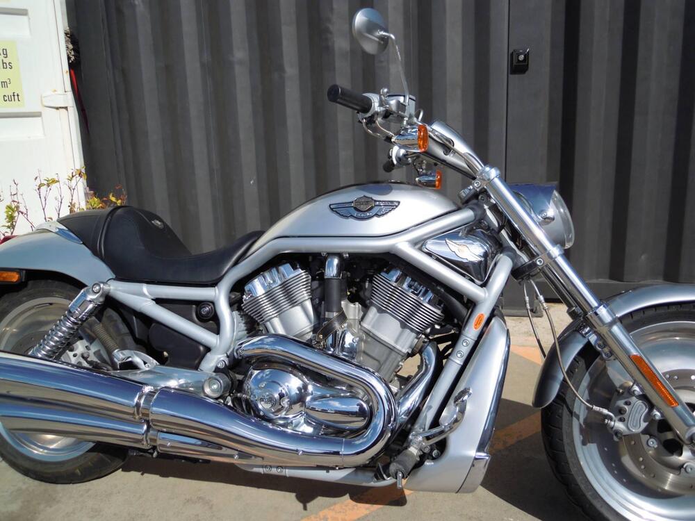 Harley-Davidson 1130 V-Rod (2002 - 05) - VRSCA (15)