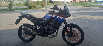 Honda Transalp XL750 (2023 - 24) usata