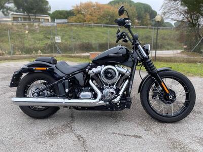 Harley-Davidson Street Bob 117 (2025) usata