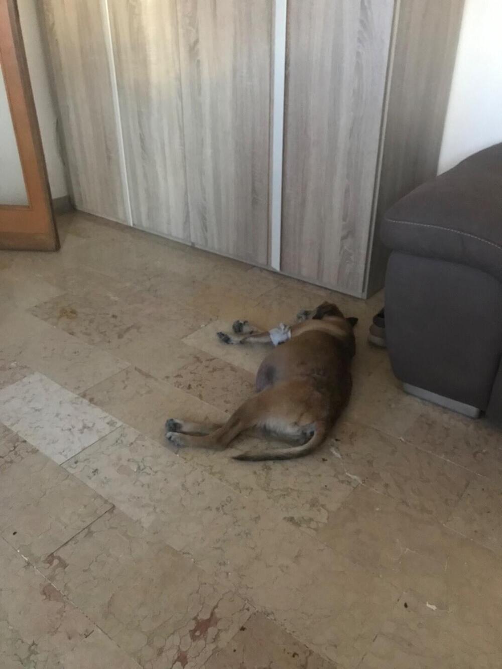 Kawasaki 350 S2 A (10)