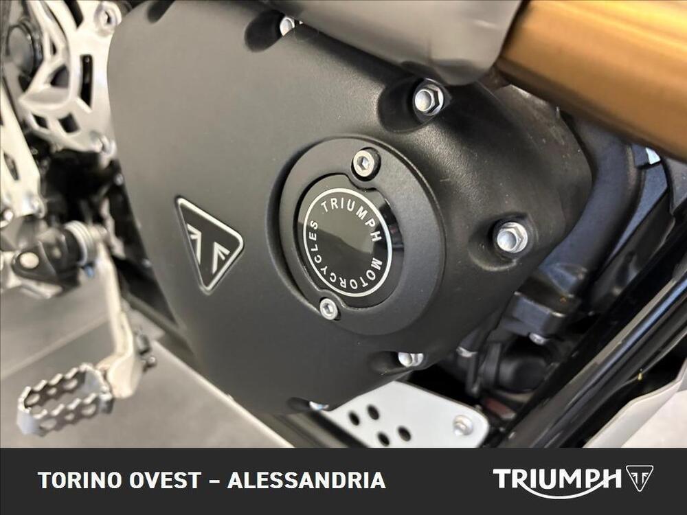 Triumph Scrambler 1200 XE (2024 - 25) (10)