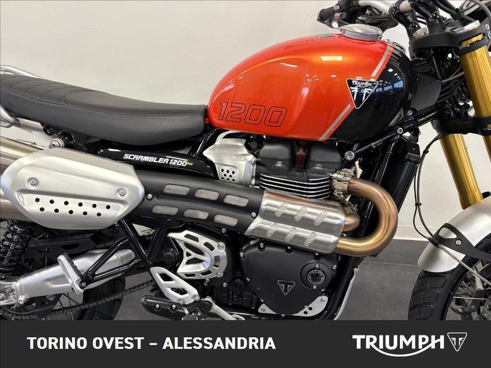 Triumph Scrambler 1200 XE (2024 - 25) (6)