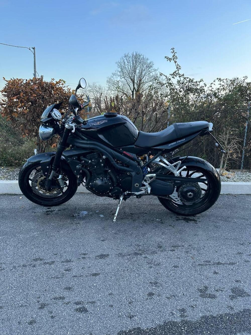 Triumph Speed Triple 1050 (2005 - 11)