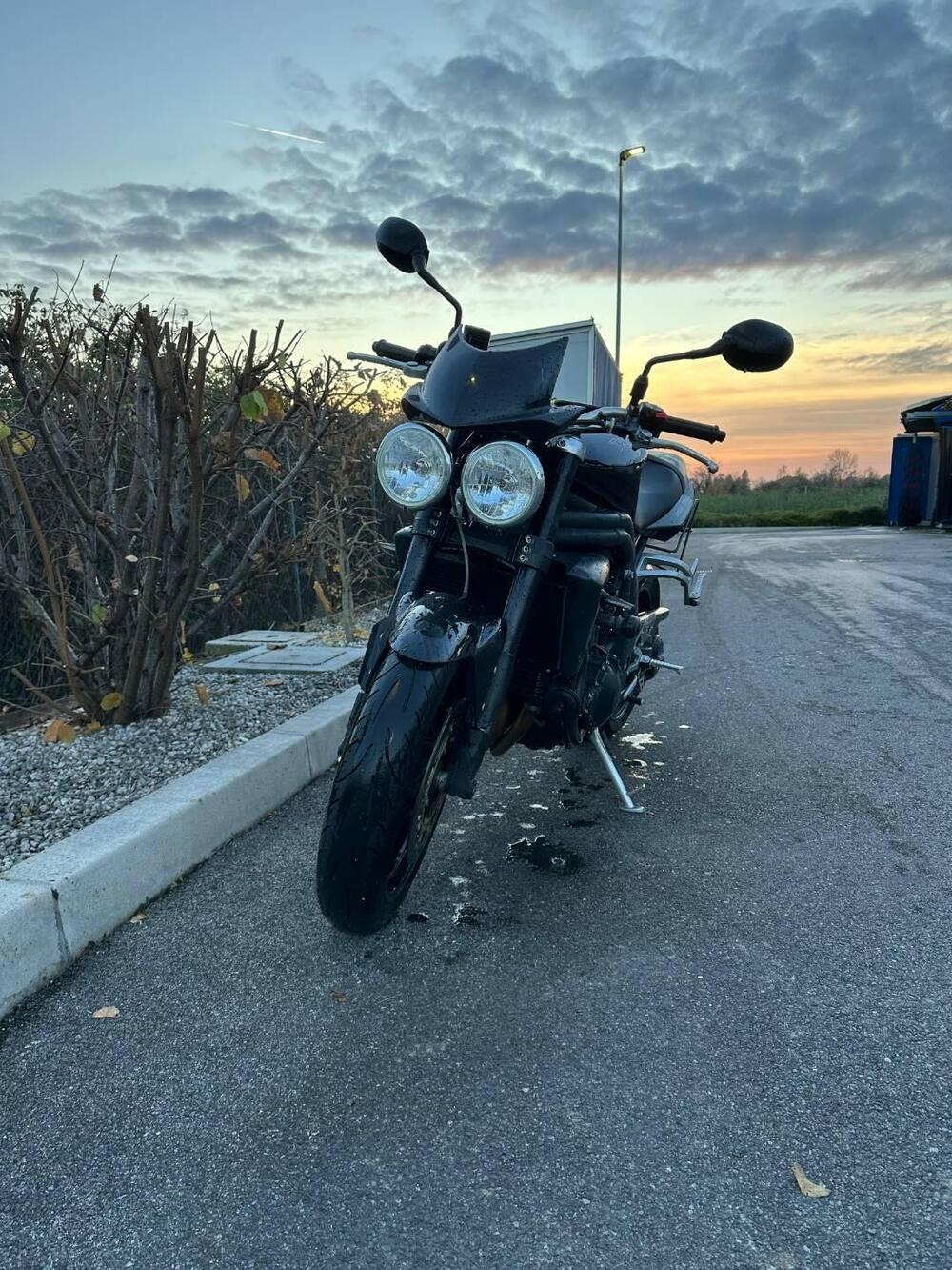 Triumph Speed Triple 1050 (2005 - 11) (2)