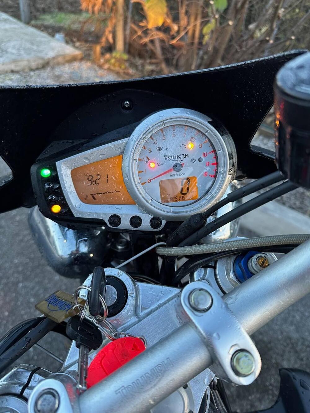 Triumph Speed Triple 1050 (2005 - 11) (6)