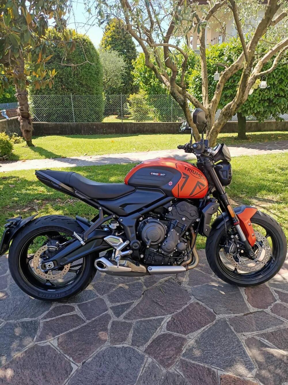Triumph Trident 660 (2021 - 24) (2)