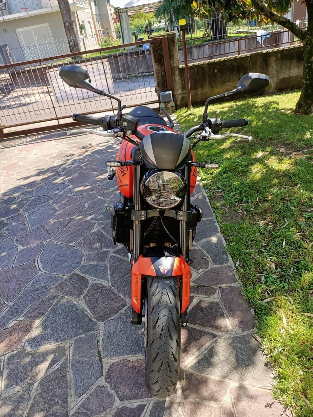 Triumph Trident 660 (2021 - 24) (4)